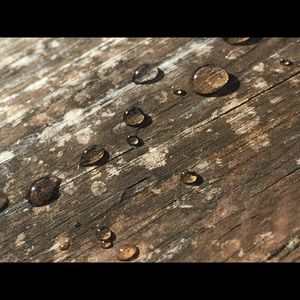 Meet your Posher, Georgia